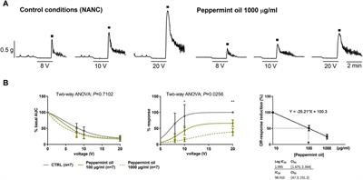 Evaluation of the mechanism of action of paracetamol, drotaverine, and peppermint oil and their effects in combination with hyoscine butylbromide on colonic motility: human ex-vivo study